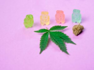 Best Edibles You Can Order in Mississauga Right Now