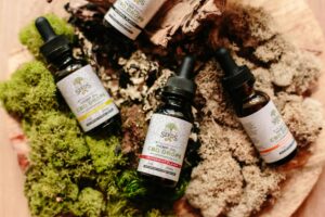 Effects on the Body