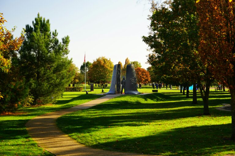 Cannabis and Cineplex: Movie Munchies at Courtney Park
