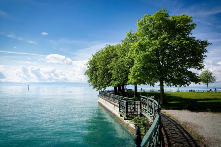 Cannabis & Stargazing at Lakefront Promenade Park
