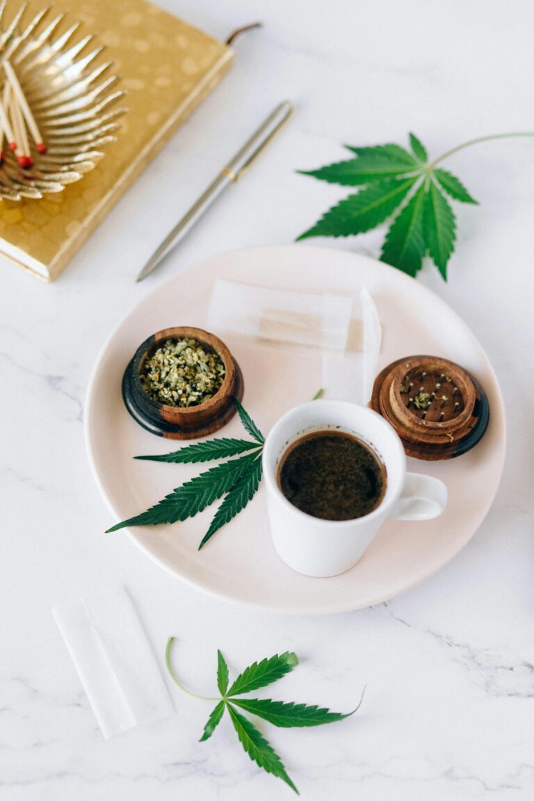Top Cannabis Edibles Before Rattray Marsh Visit