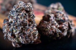Best Cannabis Strains Before Art Gallery Visit